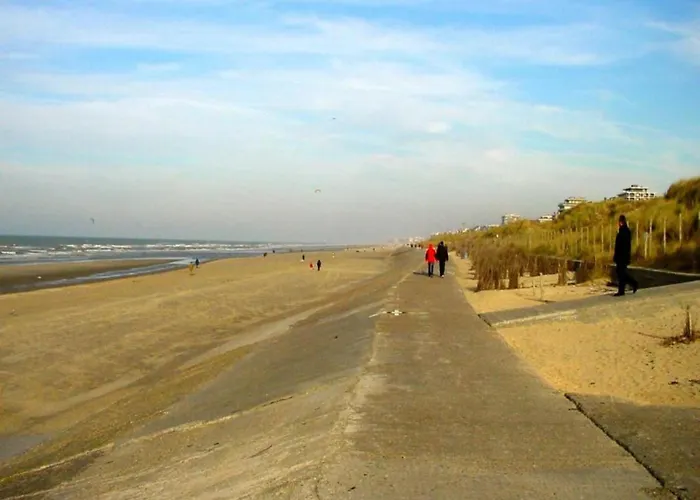 In With Sea Views 아파트 블랑켄베르크